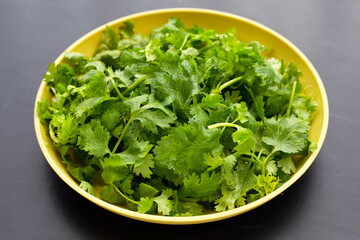 Fresh coriander leaves in yellow plate on dark background.