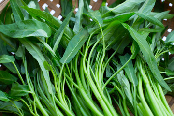 Obraz premium Morning glory in bamboo basket