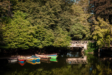 Boats on the lake in the middle of the forest