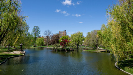 Obraz premium river in the park