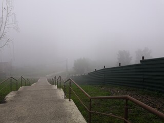 Morning in the fog