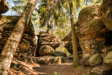 mountains with trees for hiking
