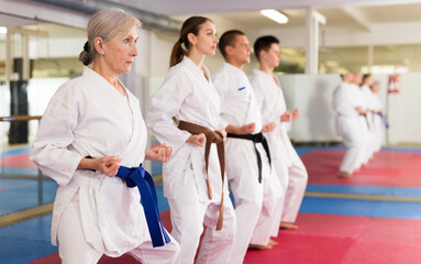 Modern determined aged woman practicing martial arts with group of adults in gym. Seniors active...