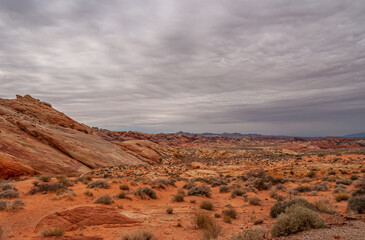 Fototapeta na wymiar Overton, Nevada, USA - February 25, 2010: Valley of Fire. Relative flat landscape of red rock plateau of dry desert floor with shrubs under heavey gray cloudscape.