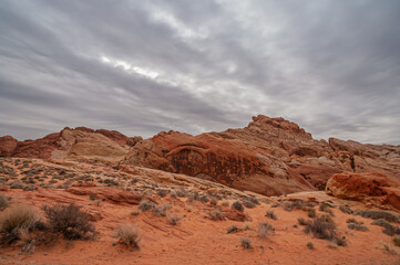 Fototapeta premium Overton, Nevada, USA - February 25, 2010: Valley of Fire. Heavy rainy gray cloudscape gathers over red rock mountainous area cropping out of dry red desert floor with greenish shrubs.