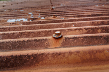 A rusty corrugated iron roof with an umbrella roof nail made from lead, in focus.