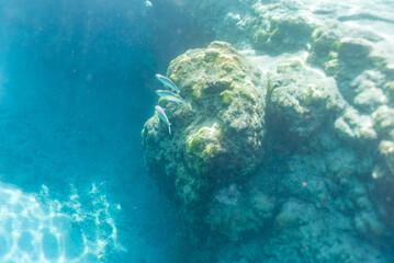 Fototapeta premium creative