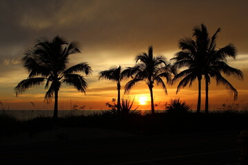 Fototapeta na wymiar Sunset over beach in the palm trees