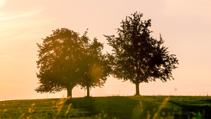 sunset in the countryside