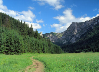 Tourist trail in The Little Meadow Valley - Dolina Malej Laki (Dolina Ma³ej £¹ki), the Tatra (Tatry) Mountains, Poland