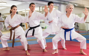 Fototapeta na wymiar People of different ages performing kata moves in gym during karate training.