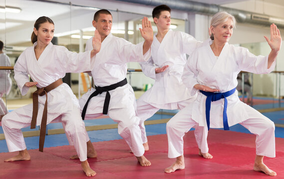 People of different ages performing kata moves in gym during karate training.