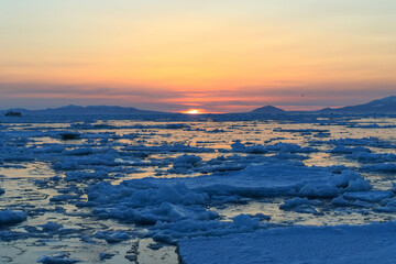 夜明けの流氷（北海道羅臼沖） © Shiretoko Dream