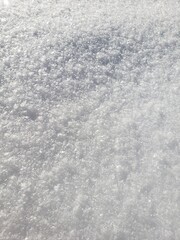 Obraz premium Glittering snow
