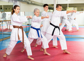 Group of modern sports adult people practicing martial arts in gym. Active lifestyle and self-defense concept..