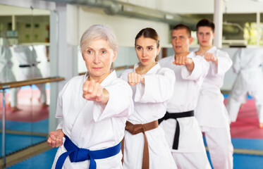 Women and men of different ages doing kata during group karate training.