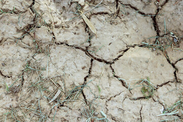 cracked soil texture