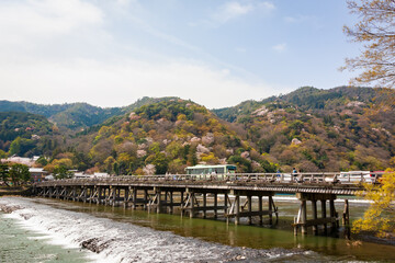 Fototapeta na wymiar 渡月橋から見た、京都・嵐山に咲く桜の花と快晴の青空