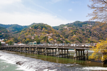 Fototapeta na wymiar 渡月橋から見た、京都・嵐山に咲く桜の花と快晴の青空
