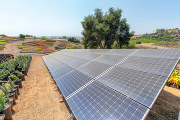 Ground-mounted solar panels in a large field of colorful ornamental plants