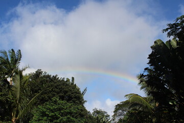 Obraz premium Hawaiian Rainbow