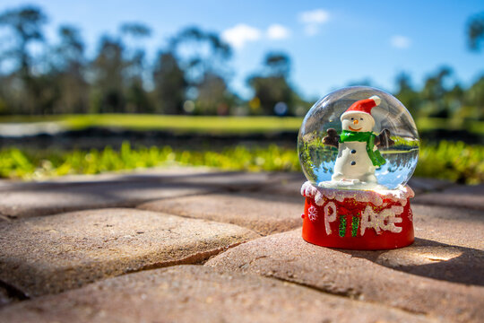 Snow Globe Tropical Christmas