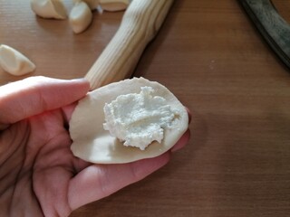 A hand holding a small rolled cake of dough with cottage cheese for dumpling.