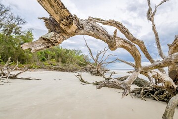 Fototapeta premium creative