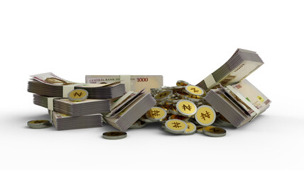 Nigerian Naira notes and coins. 3D rendering of bundles of banknotes and coin concept