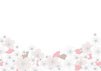 桜の花が美しい線画の背景素材
