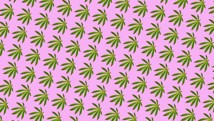 Pattern of cannabis leaves against of pink color. background. Fresh green leaf of cannabis sativa weed. Alternative therapies, Lifestyle and treatments.