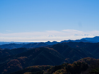 高尾山から見える風景
