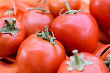 Ripe red tomatoes