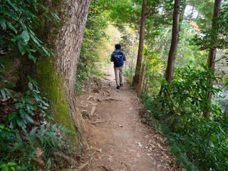 Obraz premium 高尾山の山道を歩く男性の後ろ姿