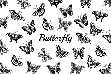Set of Collection pretty Butterfly butterflies Animal Hand Drawn illustration