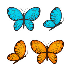 Butterflies. Collection of butterflies of different colors. A set of blue and yellow butterflies. Butterflies, side view and top view. Vector illustration