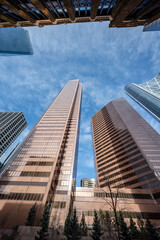 Looking up at skyscrapers in the city of Calgary.