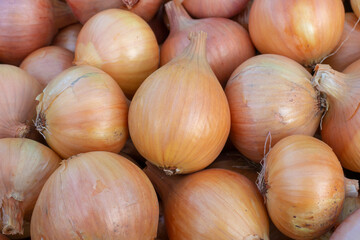 Onion close up. Heap of bulbs, fresh harvest of onions.