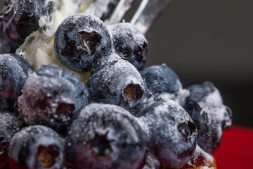 ブルベリーのケーキ　Blueberry cake