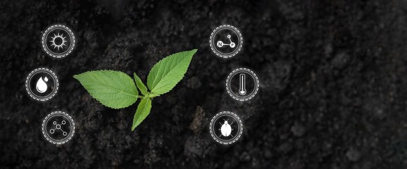 Smart farming. futuristic agriculture concept. agricultural using innovative technologies.
