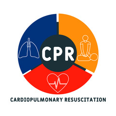 CPR - Cardiopulmonary Resuscitation acronym. business concept background. vector illustration concept with keywords and icons. lettering illustration with icons for web banner, flyer, landing pag