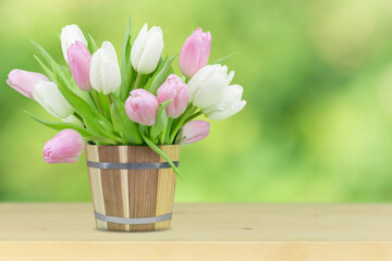 Tulips in wooden bucket on the green background