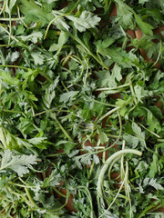 녹색 잎 채소, 쑥, 음식재료 