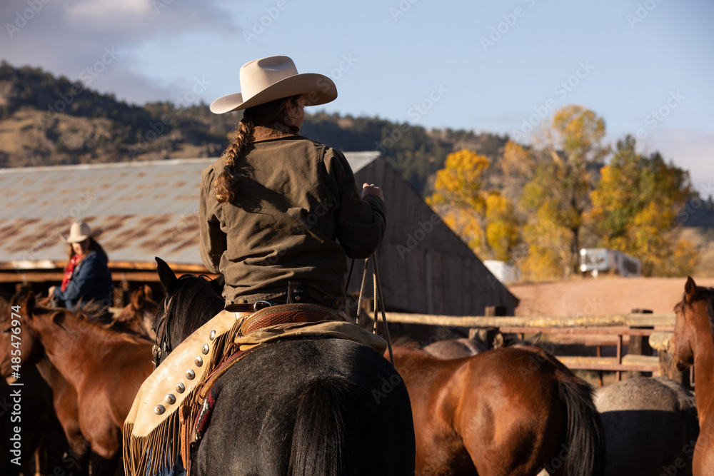 Poster Wyoming Cowgirl