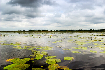 a Ostriv'yanske lake of Shatsky Lakes group, Ukraine