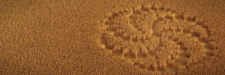 field with alien crop circle formation © dottedyeti