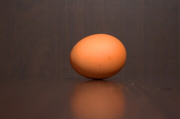 one brownish chicken egg close-up.