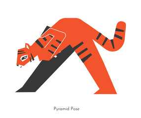Vector isolated concept with cartoon animal learning yoga practice - Pyramid Pose. Korean cute tiger does Intense side stretch asana - Parsvottanasana. Geometric illustration shows sport exercise