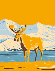 WPA poster art of an adult male moose or elk in Denali National Park and Preserve or Mount McKinley in Alaska United States USA done in works project administration style or federal art project style.