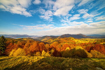 Mountain ridge with terracotta forests under cloudy sky